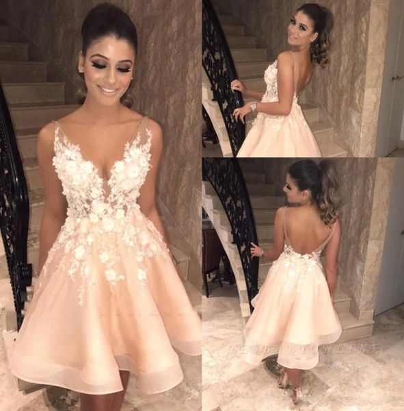 

v neck lace short homecoming dresses 2020 tulle high low applique aline backless knee length short prom dresses vestidos de 4875515, Blue;pink