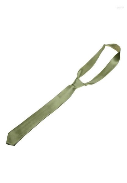 

casual necktie skinny slim narrow neck tie light green ties9177233, Blue;purple