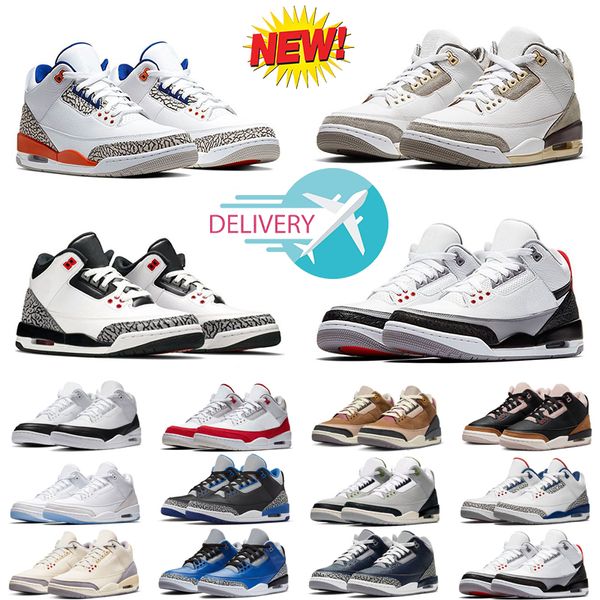 

jumpman 3s basketball shoes mens trainers outdoor sports sneakers 3 fire red pine green racer blue cool grey unc court purple laser orange c