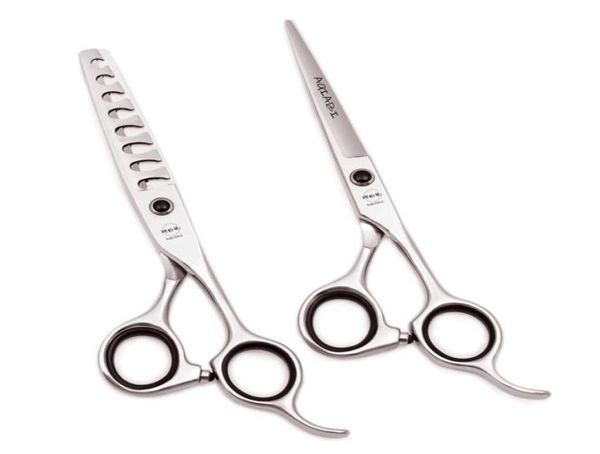 

professional hair scissors 6quot jp steel hair cutting scissors salon thinning shears hairdressing scissors 8 teeth thinning rat7803104