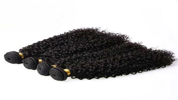 

brazilian virgin hair mongolian malaysian brazilian indian peruvian jerry curly hair extension unprocessed human hair weave3273905, Black