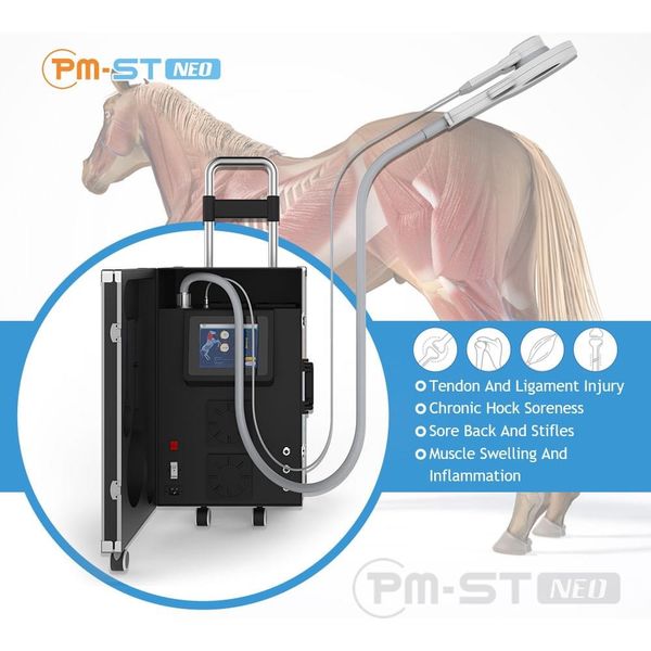 

equine pemf therapy pain reduction magnetic feild horse physiotherapy machine