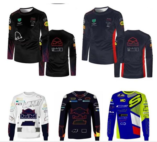 

f1 racing long sleeve jersey summer team downhill jersey same style customization
