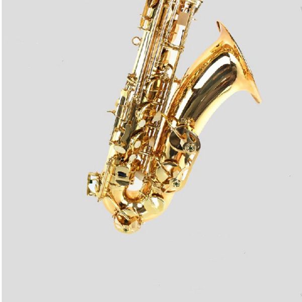 

mts-100 b-flat alto saxophone instrument