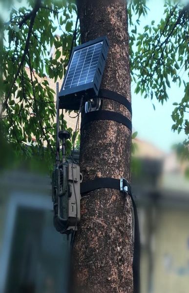 

solar panel solar power charger for 4g hunting camera hunting cameras3574717