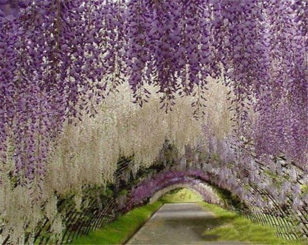 

romantic artificial flowers simulation wisteria vine wedding decorations long short silk plant bouquet room office garden bridal a6896976