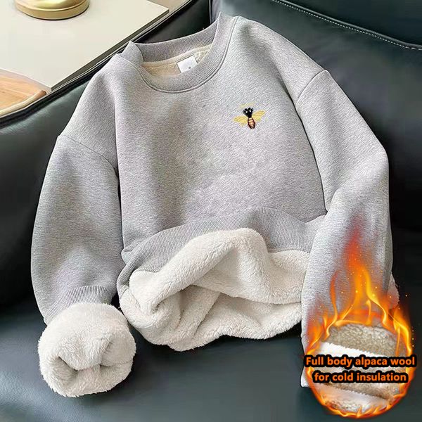 

men's hoodies sweatshirts 2023 spring y2k cashmere thickened warm hoodies casual oneck sweatshirt solid color underlay loose clothing 2, Black