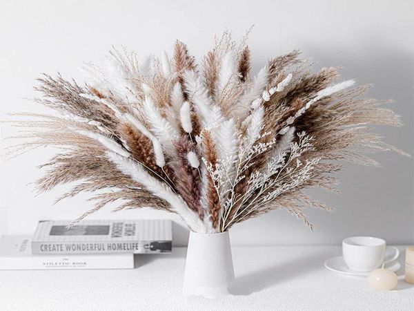 

small reed dried flower whisk pampas grass rabbit dried flower set boho home decor bouquet1044348