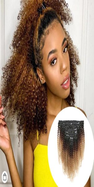 

full cuticle aligned hair various color human hair whole ombre clip in hair extensions 1b427 blonde kinky curly8083831, Black;brown