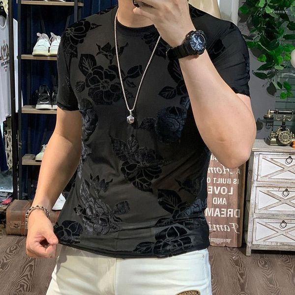 

t summer black velour stretch clothes for see through elastic fashionable european silk velvet slim fit tee, White;black