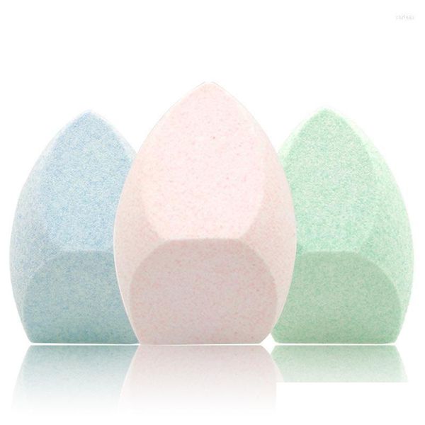

sponges applicators cotton makeup sponges 1pcs sponge set foundation cosmetic puff blending concealer powder soft make up beauty to dhiwi