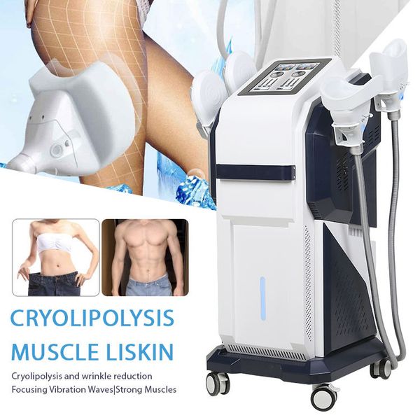 

2 in 1 slimming machine emslim muscle building 360 cryo cool fat ing body machine