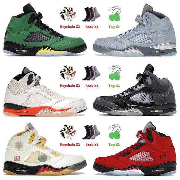 

basketball jumpman shoes 5 5s v expression low pinksicle unc concord anthracite bluebird what the for mens women sneakers trainers eur 36-47