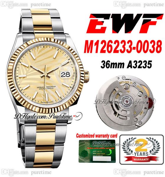 

ewf just 126233 a3235 automatic watch mens ladies 36 two tone yellow gold golden palm motif dial oystersteel bracelet super edition same ser, Slivery;brown