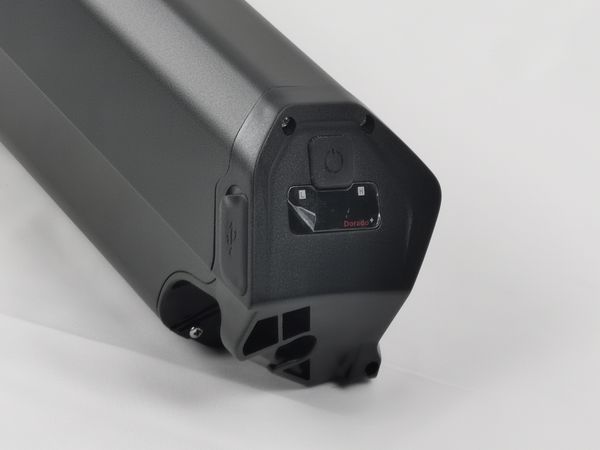

reention dorado 48v 21ah lithium ion ebike battery for 1000w motor
