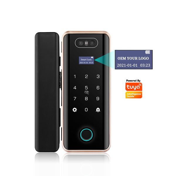 

tuya app smart door lock face recognition glass fingerprint