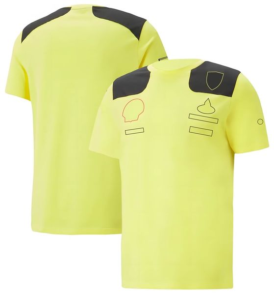 

formula 1 team driver t-shirt motorsports f1 t-shirt 2022 season new racing suit uniform short sleeve summer fans t shirts jersey