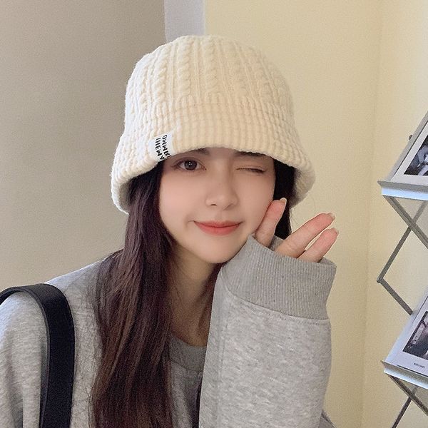 

women's autumn and winter korean version wild wool hat warm ear protection big head knitted hat, Blue;gray