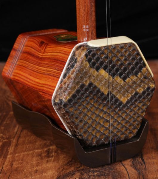 

erhu dunhuang 04a chinese string instrument traditional music