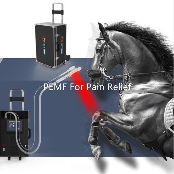 

veterinary pmst pemf magnetic therapy machine emtt physiotherapy device