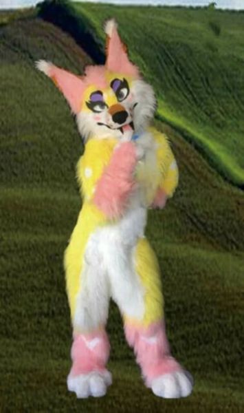 

new long fur husky dog fox mascot costume fursuit halloween furry suit cartoon outfits party dress up, Red;yellow