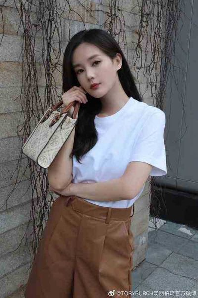

designer burchs handbags torys tote bag tb luxuries designers women mini bags tp4e