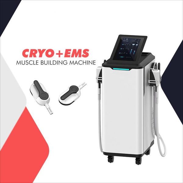 

ems slimming machine emslim cryolipolysis 2 in 1 muscle sculpting muscle trainer hi-emt hip lift fat e body shaping weight loss beauty salon