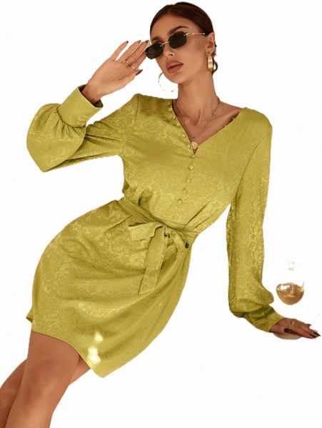 

floral jacquard lantern sleeve belted dress h12b#, Black;gray