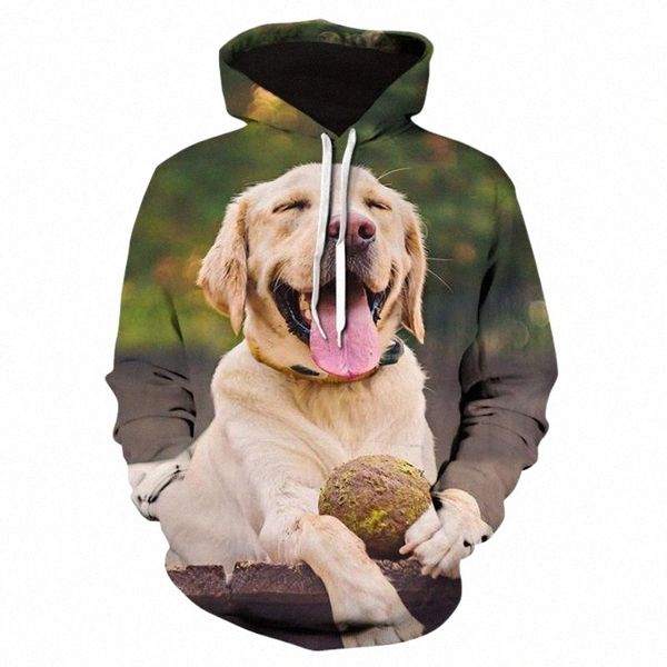 

men's hoodies & sweatshirts 2021 cute labrador dog animal casual 3d printed hoodie fashion sweatshirt / women's cool jacket street, Black