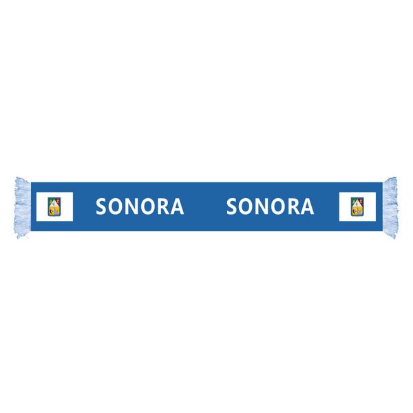 

sonora flag factory supply good price polyester satin scarf country nation football games fans scarf also can be customized