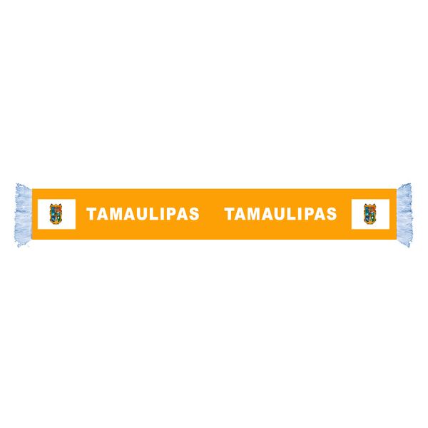 

tamaulipas flag factory supply good price polyester satin scarf