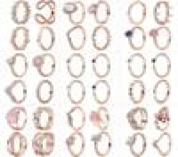 

new style ladies rose gold ring white flower heart shape original pandora d, Silver