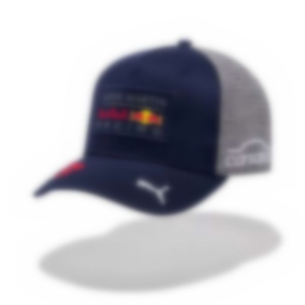 

embroidery baseball hat men women cotton cap snapback caps adjustable fashion luxury hip hop hats new tx-3, Blue;gray