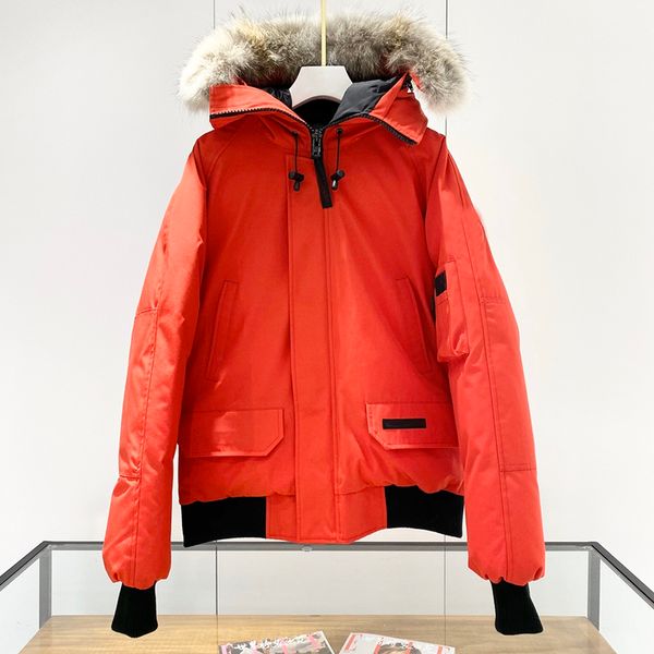 

down jacket designer clothes puffer jackets parkas coat luxury fashion mens womens 003, Black