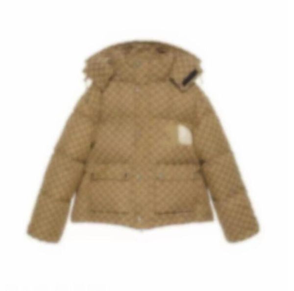 

mens down jackets tne north hooded thick designer luxury dunks mans women couples outerwear parkas winters coat, Black