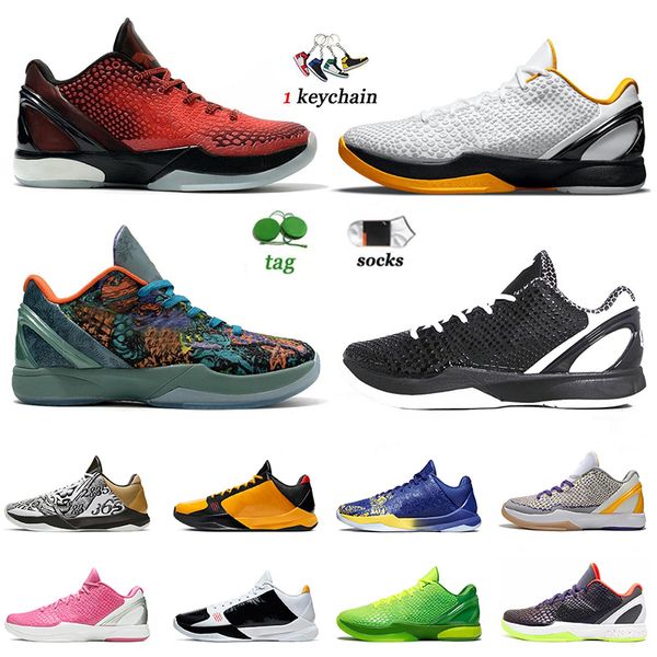

protros 5 mambacita 6 eybl basketball shoes mens jumpman chaos big stage think pink prelude ginch brece lee del sol bhm authentic mambas og