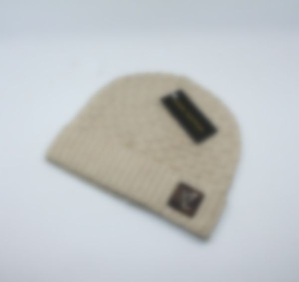 

2023 knitted goose hat designer wool hat big brand solid color outdoor fashion 5 colors a6, Blue;gray