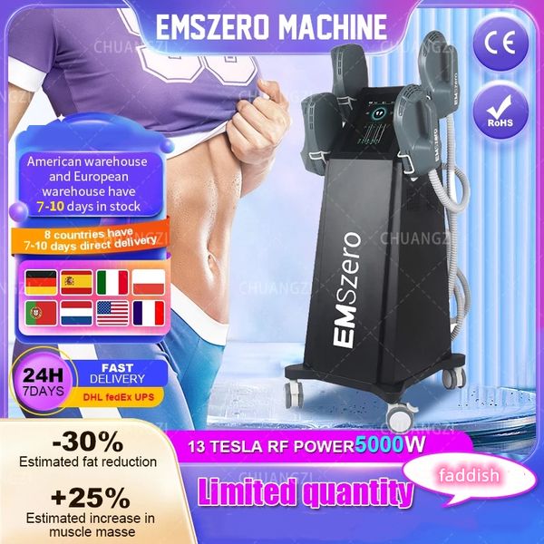 

dls-emslim china manufacturer 4/5 handles emszero rf muscles sculpting fat reduce neo ems 13 tesla muscle stimulator sculpting machine