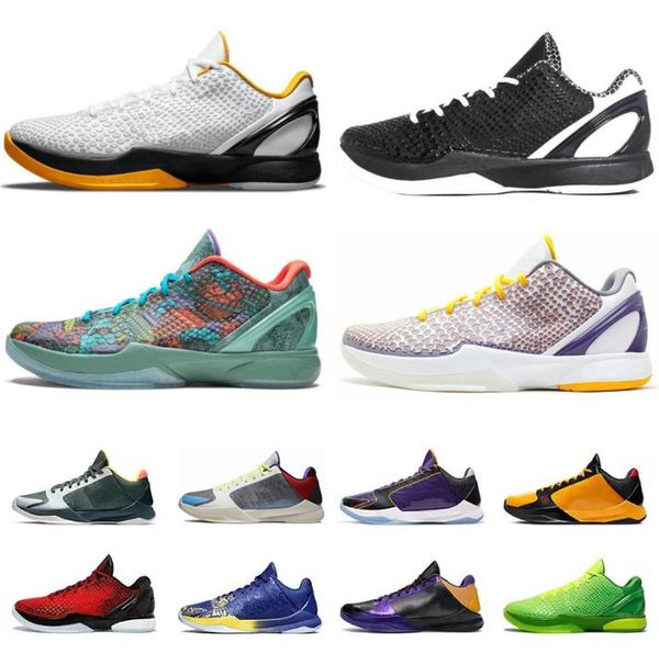 

with box 2023 mamba zoom 5 6 series protro system basketball shoes alternate bruce lee big stage chaos prelude metallic gold rings mens 7 8