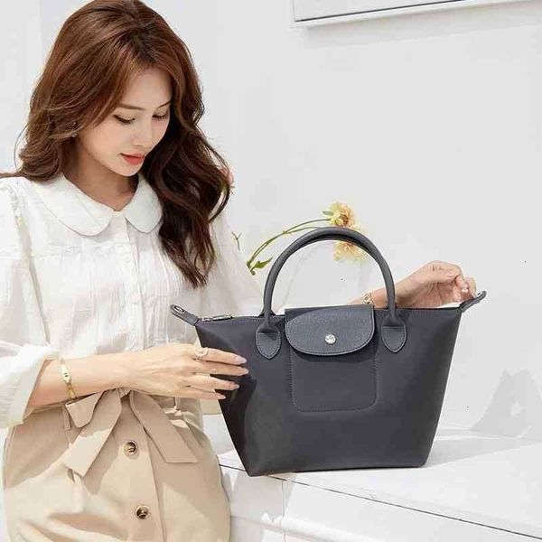 

french longyu bag handbag autumn winter texture 2022 new niche design single shoulder portable messenger tote