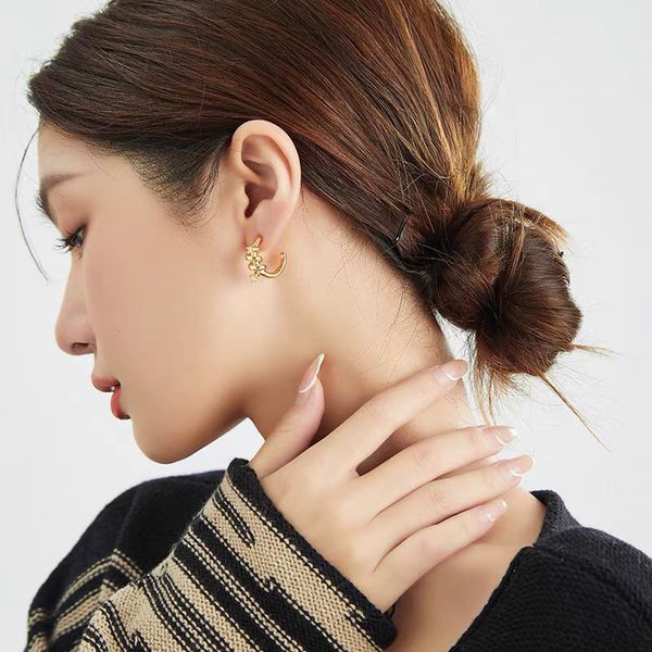 

designer luxurys earrings ear studs fashion brands casual earring stud classic letters golden silver diamond pearl jewelry