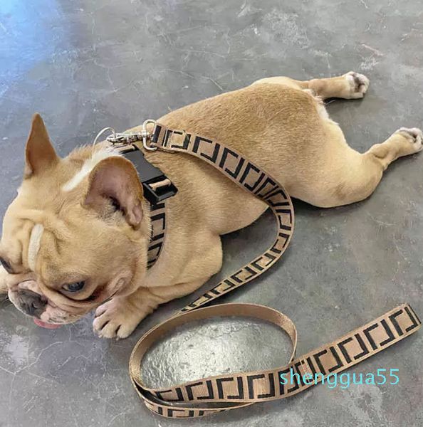 

2022 dog leash collar harness luxury large medium small fighting schnauzer bulldog teddy leashes, Silver