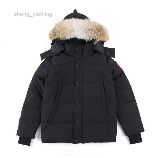 

mens down jacket goose coat real big wolf fur canadian wyndham overcoat clothing casual fashion style winter outerwear parka 33, Black