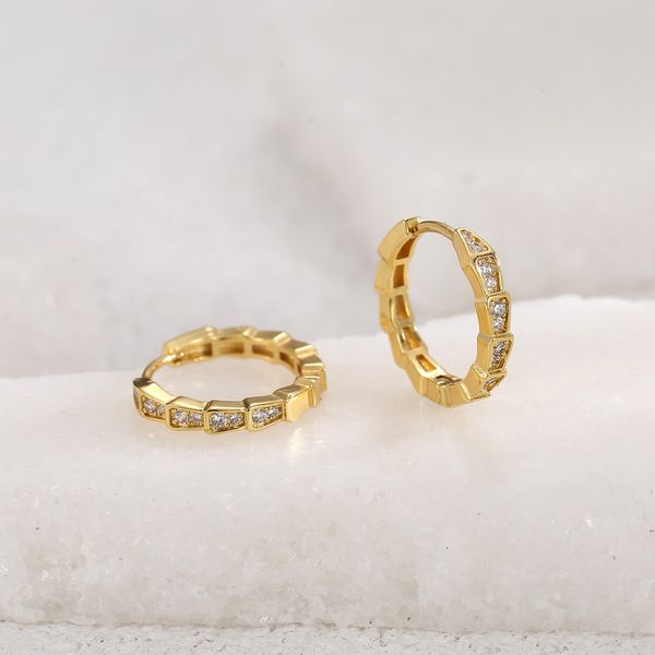 

zircon snake shaped earrings cool style earrings high level casual style jewelry, Golden;silver