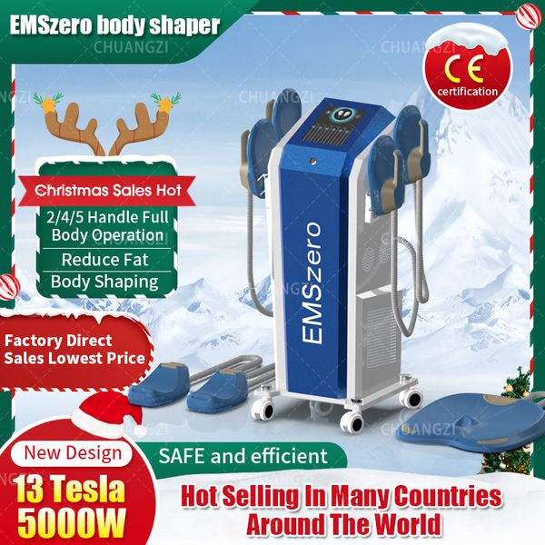 

christmas shopping spree dls-emslim electromagnetic body emszero slimming-muscle stimulate fat removal body slimming build muscle machine