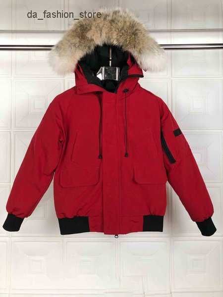 

canada sell new famous classic mens fashion parka waterproof windser advanced fabric thick down with wolf fur winter keep warm jacket puffer, Black