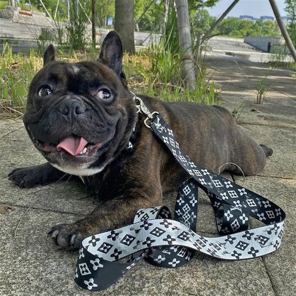 

dog harness collars leashes adjustable breathable pet vest nylon designer letter outdoor running training necklace rope tie collar301m