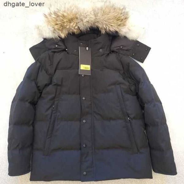 

designer luxury goosie down jacket fur ruff cg winter fit warm canadas men white goosing coat exterior pockets zipper stretch rib cuff9p0e, Black