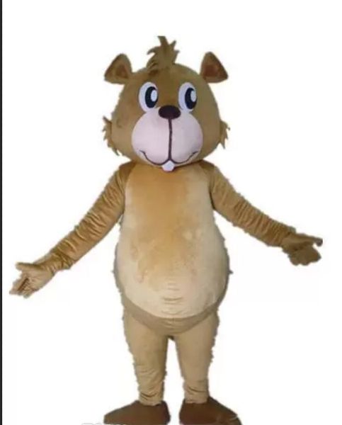 

a small brown squirrel mascot costume with a small mouth for to wear, Red;yellow