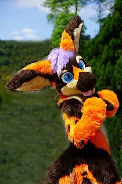 

medium length fur husky dog fox mascot costume walking halloween christmas large-scale advertising suit role play, Red;yellow